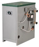 Peerless® 63-05-SP-N 236MBH Natural Gas Packaged Residential Steam Boiler