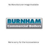 Burnham® Blocked Vent Switch F/IND,2A