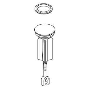 Kohler® 1036994-BRZ Replacement Plunger Assembly