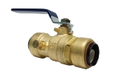 EPC 10177013 210D Push Ball Valve with Drain/Vent, 1 in, C, Brass Body