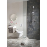 GROHE 40689001 Essentials Toilet Paper Holder, 119 mm H, Metal, Polished Chrome