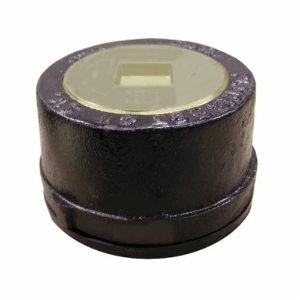 Jones Stephens™ C36014 Push-On Service Weight Cleanout With Countersunk Plug, 4 in Cleanout, Cast Iron