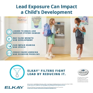 Elkay® 51600C High Capacity Replacement Filter, 3-1/8 in L x 3-1/8 in W x 9-1/2 in H, Plastic