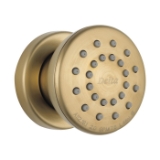 DELTA® 50102-CZ Body Spray, (1) Full Spray, 2 gpm Maximum, Surface Mount, Champagne Bronze