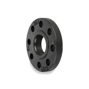 Cast Iron Threaded Flanges
