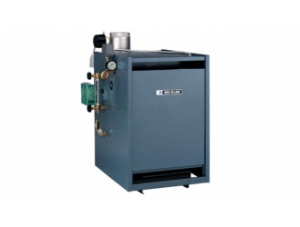 Weil-McLain® 381-800-848 PEG50PIN 175,000 BTU Natural Gas Steam Boiler