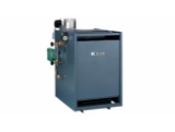 Weil-McLain® 381-800-848 PEG50PIN 175,000 BTU Natural Gas Steam Boiler