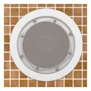 Steamist® AudioSense™ 3200 Two Exposed Classic Speaker, 100 W, 8 Ohm Impedance