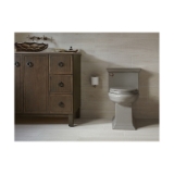 Memoirs® Comfort Height® 1-Piece Toilet, Compact Elongated Front Bowl, 16-1/2 in H Rim, 1.28 gpf, Ice Gray™