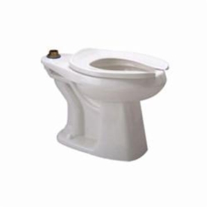 Zurn® Ecovantage® Z5665 1-Piece Toilet, Elongated Bowl, 16-3/4 in H Rim, 1.1 gpf Flush Rate