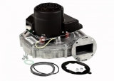Weil-McLain® 383-900-039 Blower