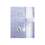 Moen® 8375 Shower Only, 2.5 gpm Shower, Chrome