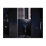 Brizo® 695098-SL Levoir™ Tissue Holder, 1-3/8 in H, Luxe Steel