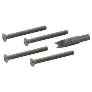 DELTA® 060073A Vandal-Resistant Screws and Driver Package