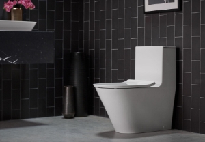 Kohler® 22378-HB1 1-Piece Toilet, Brazn®, Compact Elongated Bowl, 12 in Rough-In, 0.8/1.28 gpf, Honed Black
