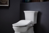 Kohler® 26132-CSP-96 26132-CSP Nightlight Toilet Seat, PureWash® E545, Elongated Bowl, Plastic, Biscuit, Slow Close Hinge