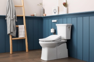 Kohler® 27142-CR-96 Seat, PureWash® E700, Elongated Bowl, Plastic, Biscuit, Slow Close Hinge