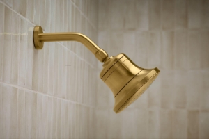 Kohler® 33631-G-CP Cinq™ Showerhead, 1.75 gpm Max Flow, 1 Spray, 5-1/2 in Dia x 5-7/16 in D Head, 1/2 -14 NPT Connection, Polished Chrome