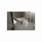 Sterling® 442050-0 Bathroom Sink With Overflow, Wescott®, Oval Shape, 17 in L x 15 in W x 7-7/8 in H, Vitreous China, White