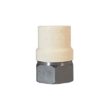 LEGEND 302-444 Pipe Adapter, 3/4 in Nominal, FNPT x CPVC End Style, 304 Stainless Steel