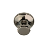 THERMASOL® OSS-SN Old Style Steam Shower Head, 1/2 in NPT Connection, Brass, Satin Nickel