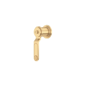 Perrin & Rowe® U.TAR18W1HTSEG Armstrong™ Trim For Volume Control And Diverter, Satin English Gold