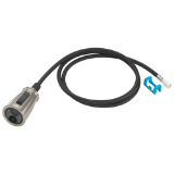 DELTA® RP93637SP Valdosta® Wand Assembly with ShieldSpray, Spotshield Stainless Spray Head