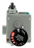 Rheem® SP14270G Gas Control, 24 V, Metal