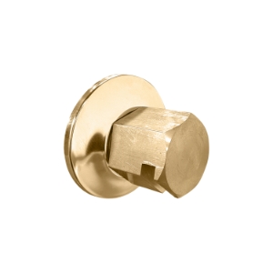 THERMASOL® TSS-SB Traditional Steamhead, Satin Brass