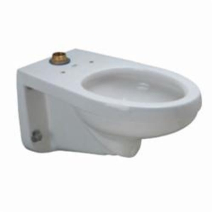 Zurn® Ecovantage® Z5615-BWL Toilet Bowl, White, Elongated Shape, 2-1/8 in Trapway