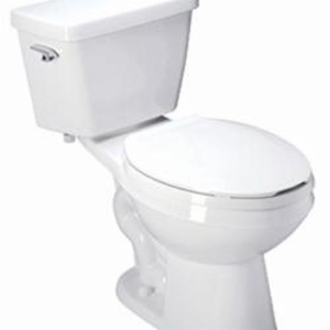 Zurn® EcoVantage® Z5555 2-Piece Toilet, Elongated Bowl, 16-1/2 in H Rim, 12 in Rough-In, 1.28 gpf