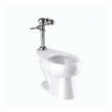 Sloan® 20201001 WETS-2020 Flushometer and Water Closet, Elongated Bowl, 17 in H Rim, 10 or 12 in Rough-In, 1.28 gpf Flush Rate, Polished Chrome