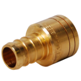 LEGEND 460-624NL Adapter, 3/4 in Nominal, PEX x C End Style, DZR Forged Brass