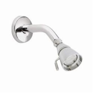 Moen® 12894 Shower Head, 2.5 gpm Minimum, 1 Spray, Wall Mount, 2-5/8 x 1-5/8 in Head, Chrome