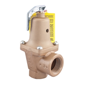 WATTS® 0384042 740 Pressure Relief Valve, 2 in Nominal, FNPT End Style, 30 psi Pressure, Iron Body