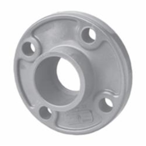 CPVC One Piece Flanges