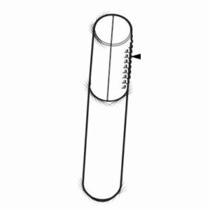 Moen® 155891BN One Function Eco-Performance Handheld Shower, 1.75 gpm, 1 Spray, 1-1/8 in Head, Brushed Nickel